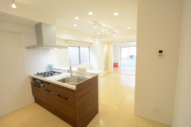 ライオンズマンショングリーン白金 LD