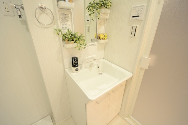 ライオンズマンショングリーン白金 洗面