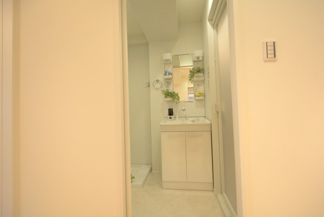 ライオンズマンショングリーン白金 洗面