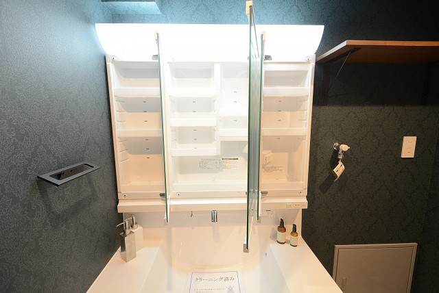 玉川台スカイマンション 洗面