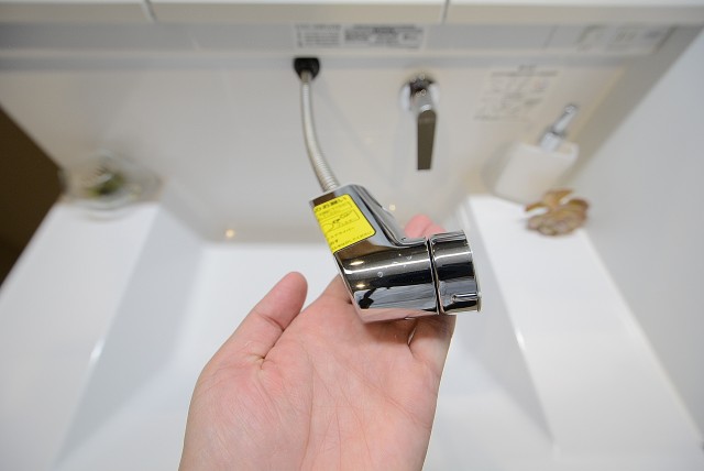 自由が丘ハイタウン 洗面