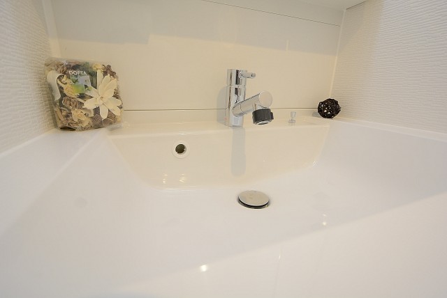 東中野コーポラス 洗面