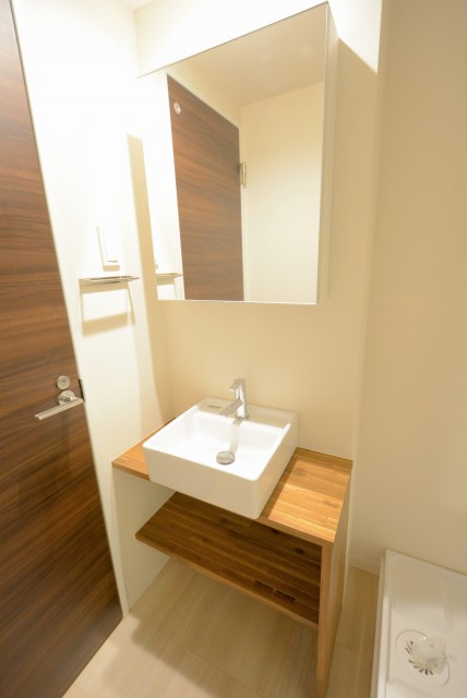 ライオンズマンション大森 洗面