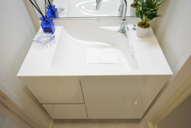 ニューハイム田町 洗面室