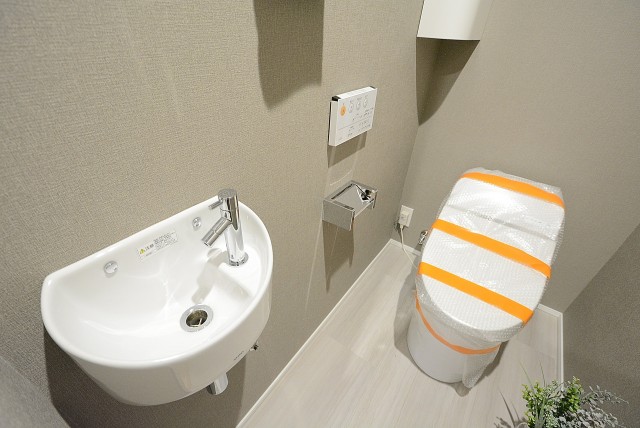 自由が丘ハイタウン トイレ