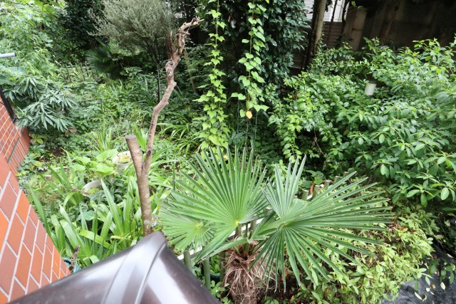 レジオン祐天寺 バルコニー