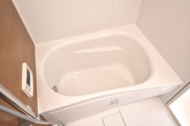 ヴィラティック早稲田 浴室