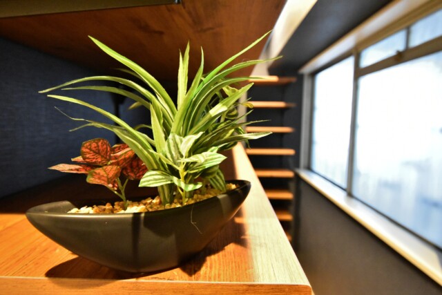 カサベルド富士見 玄関