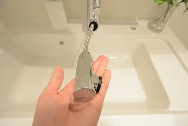 秀和椎名町レジデンス 洗面