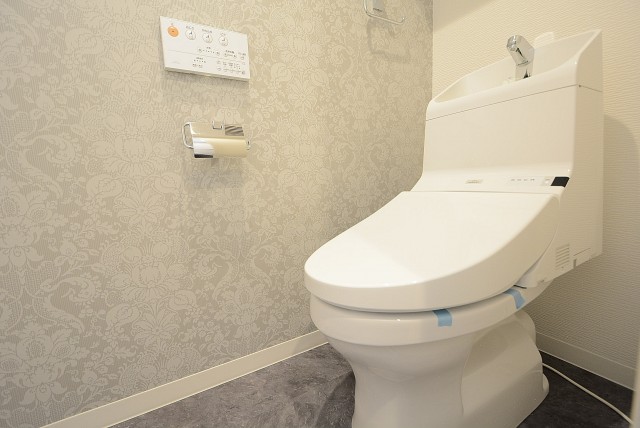 東中野コーポラス (47)トイレ