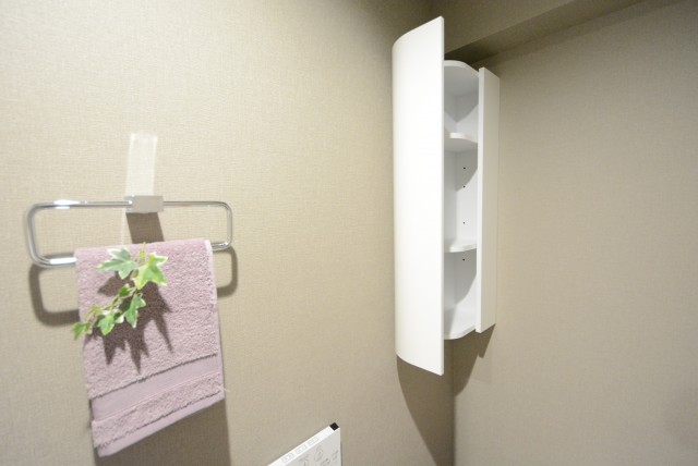 自由が丘ハイタウン トイレ