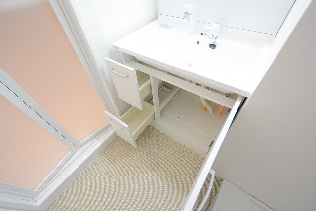 メナー代田 　洗面