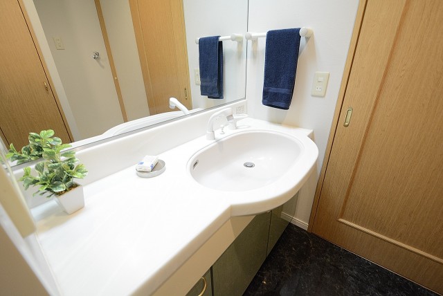 リシェ広尾 洗面