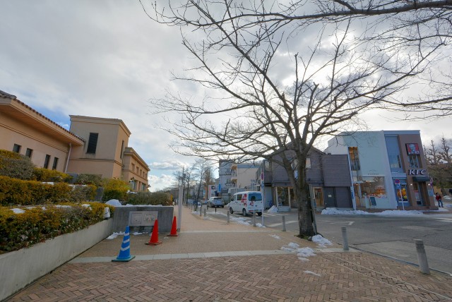 田園調布駅周辺
