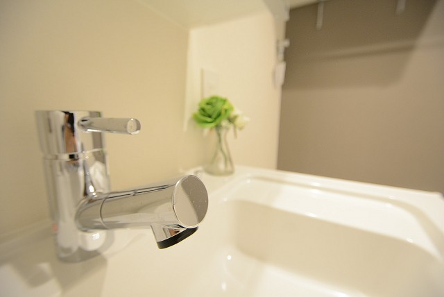秀和椎名町レジデンス 洗面