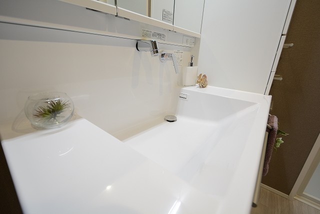 自由が丘ハイタウン 洗面