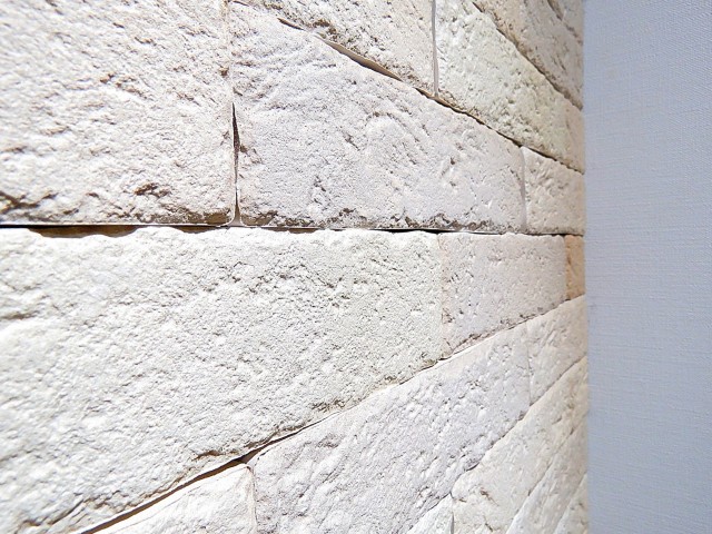 ライオンズマンション大森第3　壁面