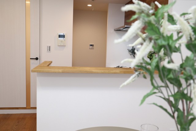 レジオン祐天寺 リビングダイニング