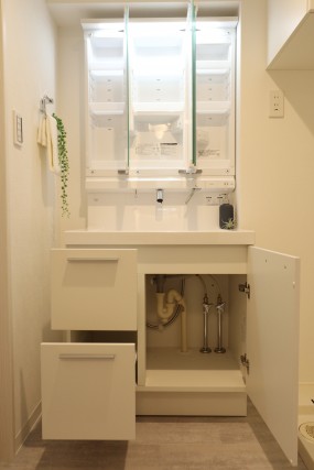 レジオン祐天寺 洗面台