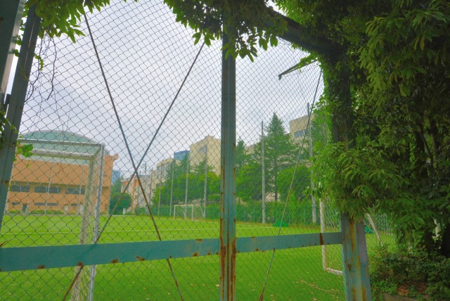 池尻大橋周辺 (33)學校