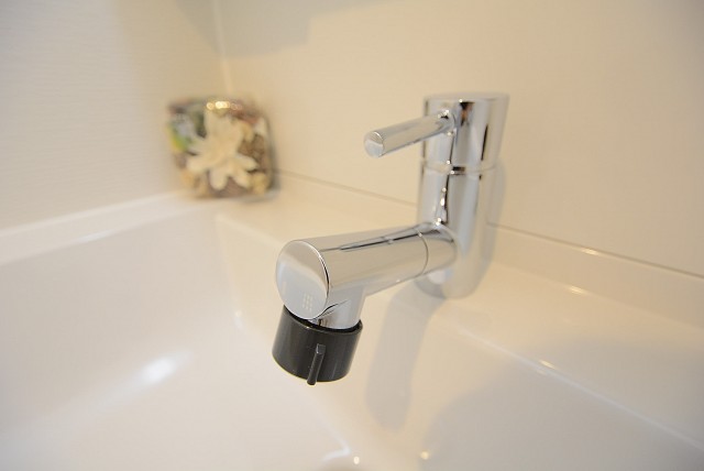 東中野コーポラス 洗面