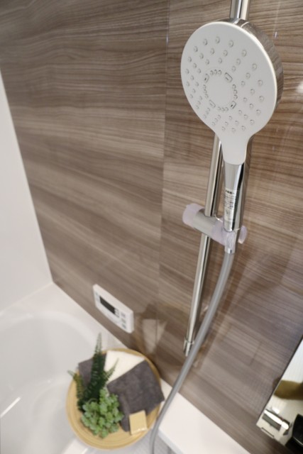 レジオン祐天寺 バスルーム