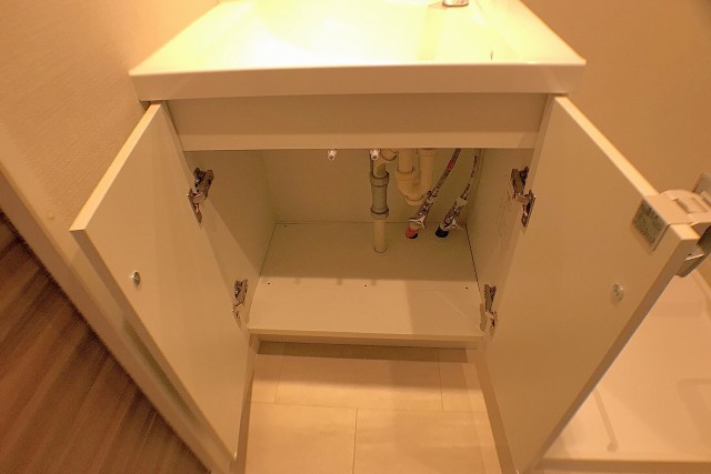 エントピア五月園 洗面