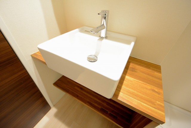 ライオンズマンション大森 洗面