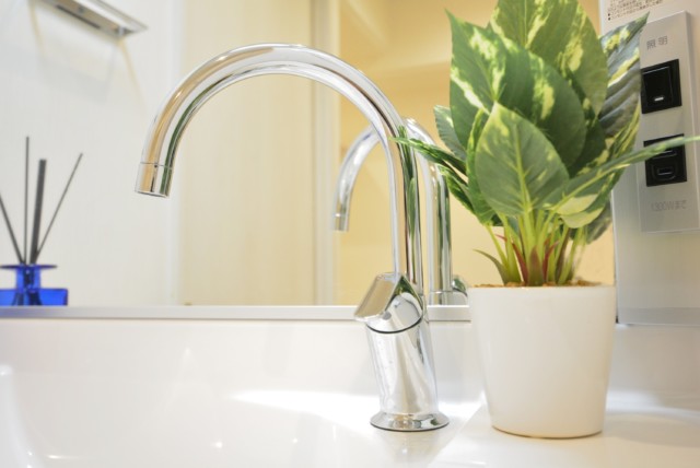 ニューハイム田町 洗面室