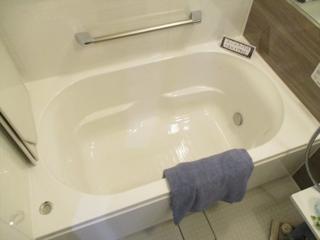 三軒茶屋パークホームズ (12)