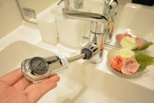 西蒲田スカイハイツ 洗面室