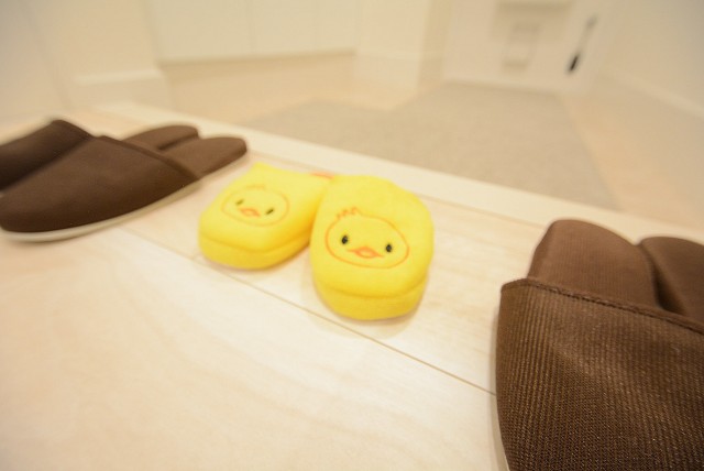 芦花公園ヒミコマンション (10)玄関