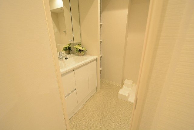 チサンマンション原宿 洗面