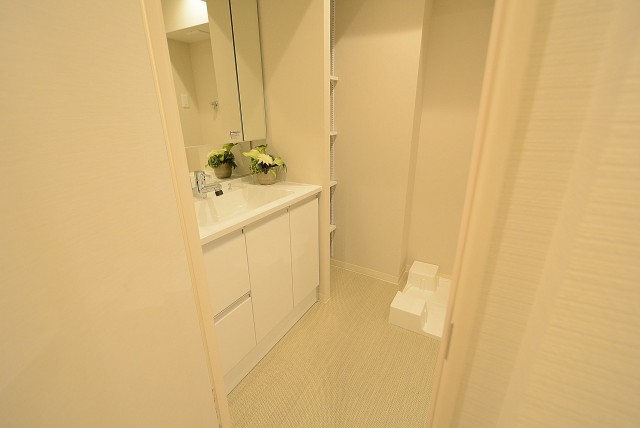 チサンマンション原宿 洗面