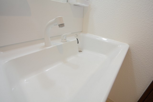 芦花公園ヒミコマンション 洗面