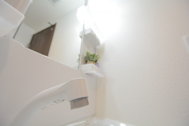 芦花公園ヒミコマンション 洗面