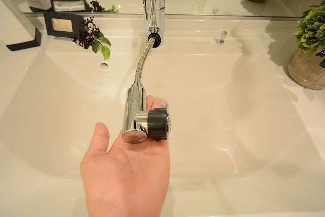 チサンマンション原宿 洗面