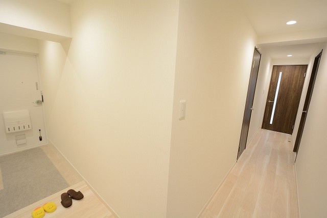 芦花公園ヒミコマンション 廊下