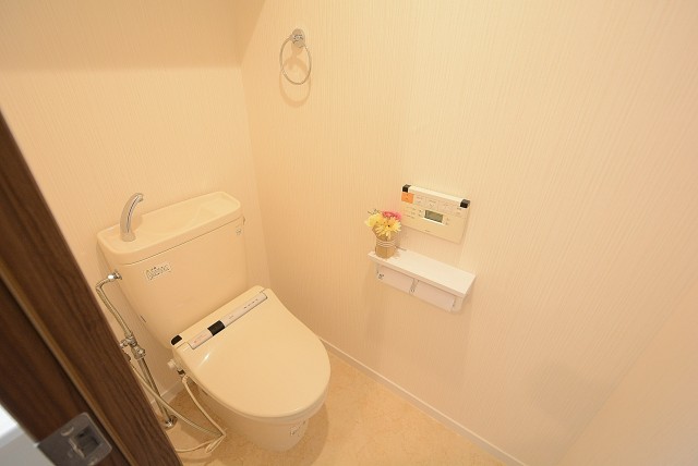 芦花公園ヒミコマンション トイレ