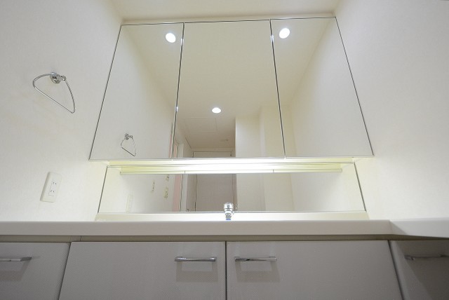 ニュートンプレイス　洗面室