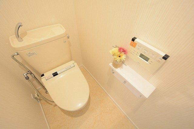 芦花公園ヒミコマンション トイレ