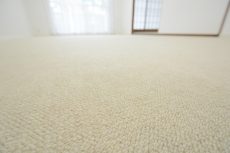 ファミリータウン東陽 LD