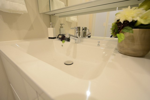 チサンマンション原宿 洗面