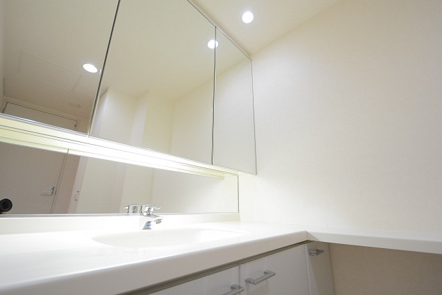 ニュートンプレイス　洗面室