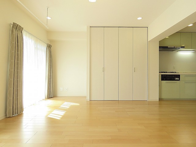 MSマンション阿佐谷 LDK収納