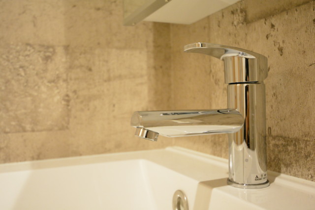 西蒲田スカイハイツ 洗面室