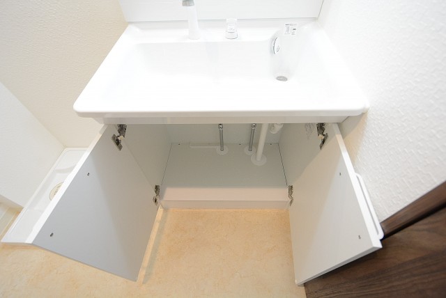 芦花公園ヒミコマンション 洗面