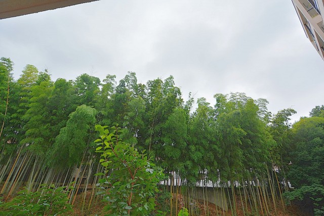 久我山コーポラス　バルコニー