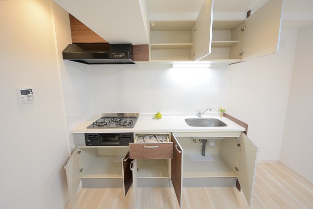 芦花公園ヒミコマンション (28)キッチン