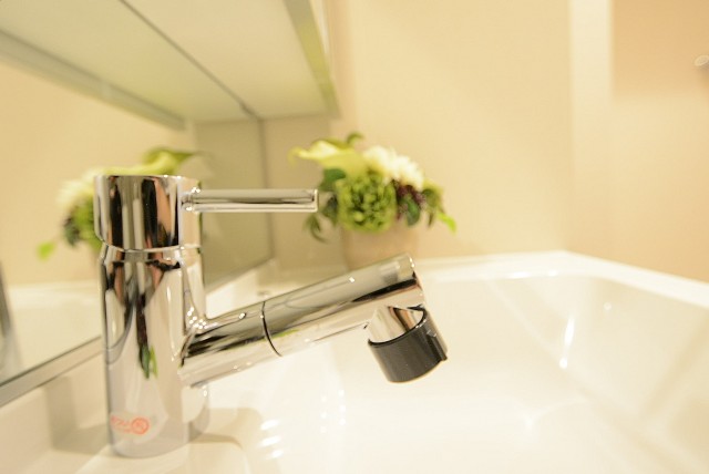 チサンマンション原宿 洗面